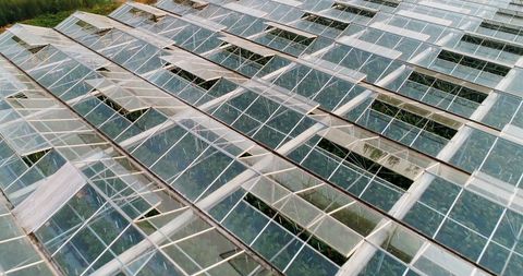 Aerial View of Green Crop Glass Rooftops on Sunny Day - Download Free Stock Images Pikwizard.com