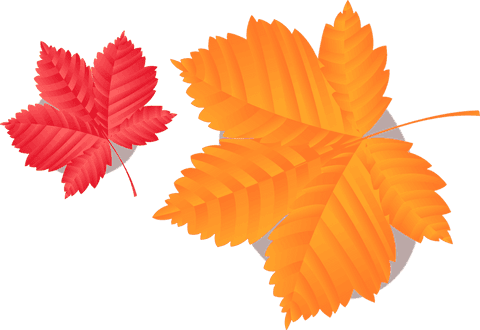 transparent background with two autumn leaves in gradient flat design - Download Free Stock Videos Pikwizard.com