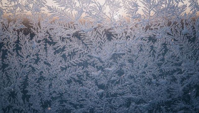 Feathery frost crystals forming on window glass at dawn, intricate ice patterns, droplets
