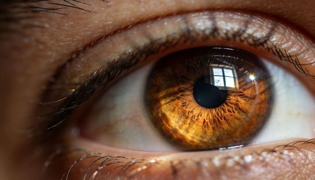 Macro brown eye with golden iris and window reflection revealing intricate iris texture