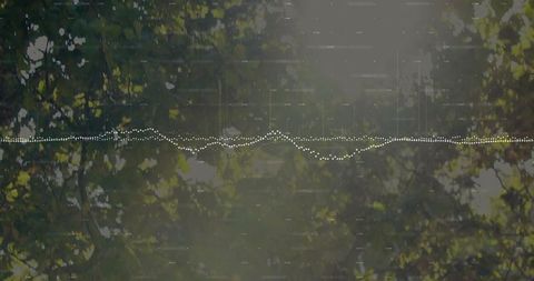 Digital Waveform Flowing Through Sunlit Forest Canopy