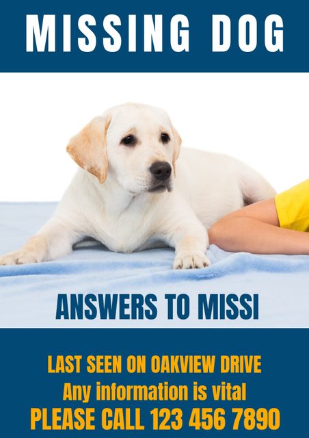 Composition of poster with missing dog text over dog on blue background - Download Free Stock Videos Pikwizard.com