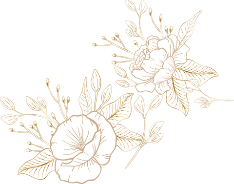 Elegant Minimalistic Floral Botanical Illustration on Transparent - Download Free Stock Videos Pikwizard.com