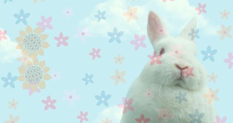 Charming Easter Bunny with Floral and Cloud Overlay - Download Free Stock Images Pikwizard.com