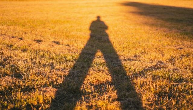 Casting long silhouette shadow across golden meadow at sunset conveying solitude and reflection
