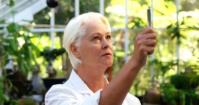 Female Botanist Examining Plant in Greenhouse Laboratory - Download Free Stock Images Pikwizard.com