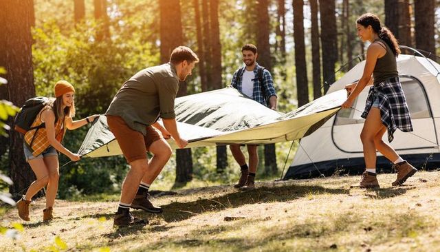 Group erecting tarp at sunlit pine campground, teamwork camping and tent setup