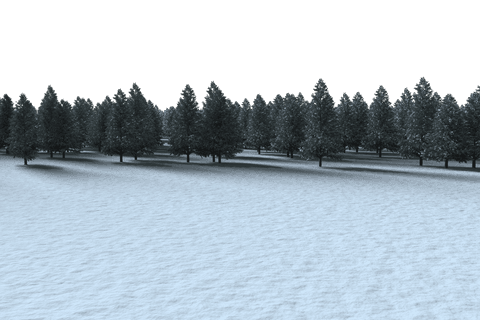 Transparent Winter Forest Illustration on White Snow Background - Download Free Stock Videos Pikwizard.com