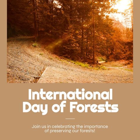celebrating forest conservation with peaceful forest pathway - Download Free Stock Templates Pikwizard.com