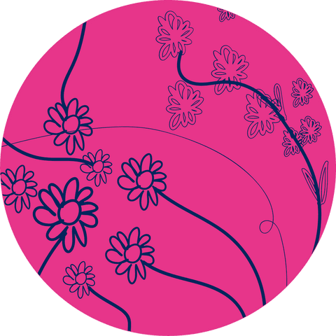 vibrant floral design with daisies on transparent background - Download Free Stock Videos Pikwizard.com