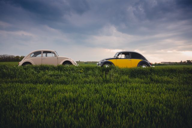 Two vintage Beetle cars parked on a green field under a cloudy sky. The image exudes a nostalgic and countryside feel, ideal for themes related to automotive history, classic car enthusiasts, or depicting rural life. Perfect for use in promotional materials for automotive events, magazines, advertisements, and websites focusing on vintage vehicles or countryside scenery.