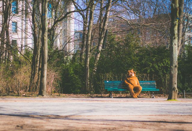 Person in Bear Costume Relaxing on Park Bench in Urban Area - Download Free Stock Images Pikwizard.com