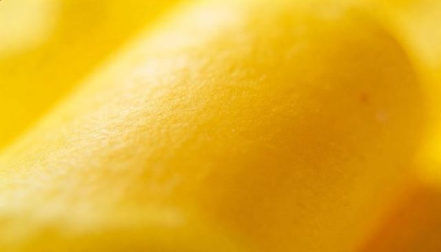 Golden porous texture revealing fine pores and soft highlights — macro abstract