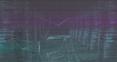 Digital Network and Data Visualization with Graphs