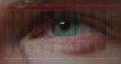 Eye Scan with Cyber Interface Reflecting Biometric Data Analysis