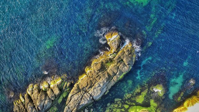 Aerial view of a stunning rocky coastline with clear blue water and vibrant green seaweed patches. Perfect for travel brochures, coastal studies, environmental campaigns, and websites showcasing natural beauty. It captures the unspoiled nature and invites viewers to appreciate marine environments.
