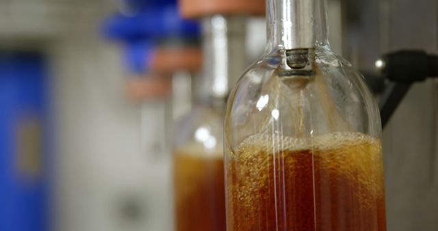 Displays close-up view of fermentation process in a glass bottle, showcasing bubbles forming in a liquid, typically used in brewing alcoholic beverages. Suitable for illustrating concepts of fermentation, brewing industry, scientific processes, and beverage manufacturing. Useful for articles related to beer production, brewing science, or even educational content about the fermentation process in laboratory or industrial setups.