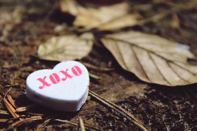 Heart-shaped candy with 'XOXO' message lying on a forest floor among fallen leaves. Suitable for themes about romance, love, nature, and autumn. Ideal for use in greeting cards, social media posts, love-themed promotions and advertisements.
