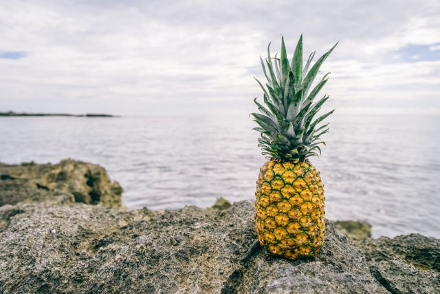 Pineapple standing upright on rocky outside with ocean waves in background, suggesting tropical beach holiday. Ideal for travel destinations, summer vacation promotions, tropical dining inspiration, or natural beauty themes.