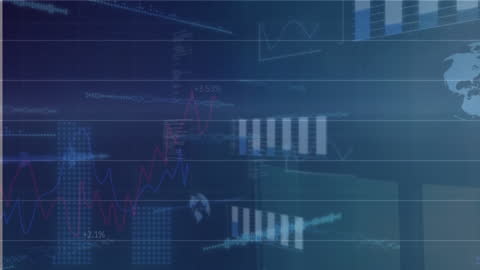 Dynamic Financial Data Visualization Interface