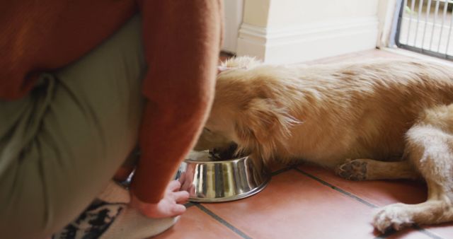 Person crouching and feeding a light brown dog in a cozy home environment. Dog is eating from a stainless steel bowl placed on tiled floor near a door. Suitable for themes about pet care, companionship, daily routines with pets, or showing domesticated animal care.