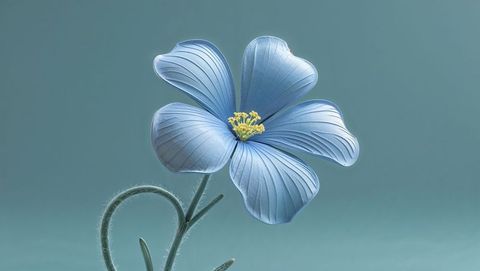 Elegant light-blue forget me not flower blooming against soft background