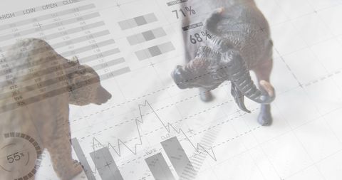Bull vs Bear Financial Market Concept with Graphs