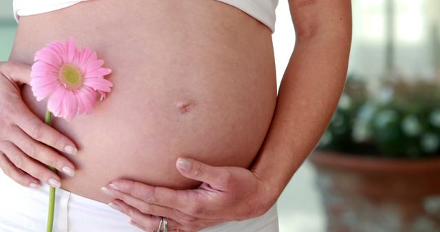 Caucasian pregnant woman holding pink flower by her belly at home, copy space. Pregnancy, motherhood, domestic life and wellbeing concept, unaltered.