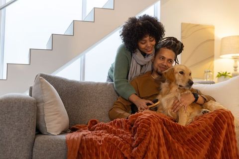 Couple brushing golden retriever on cozy sofa wrapped in warm blanket sharing quiet moment