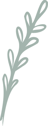 Pale green stylized branch with leaves on transparent background