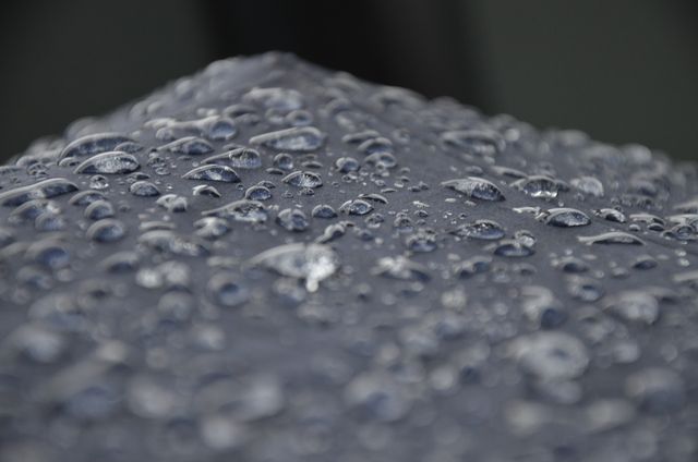 Close-up captures rain droplets on a black umbrella, focusing on the round water beads. Ideal for weather-related concepts, rainy day themes, or texture and macro photography studies.