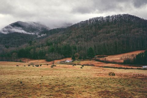 Serene Landscape with Misty Mountains and Green Fields