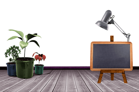 Transparent Blackboard with Lamp and Plants Vector Illustration - Download Free Stock Videos Pikwizard.com