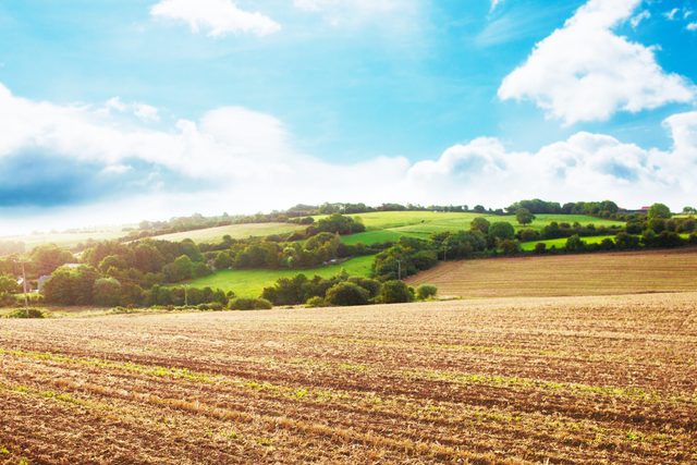 Transparent Summer Landscape with Rolling Hills and Farmlands - Download Free Stock Videos Pikwizard.com