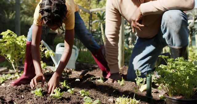 Parent and Child Gardening in an Outdoor Vegetable Plot - Download Free Stock Images Pikwizard.com