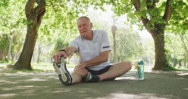 Senior Man Stretching Outdoors in a Sunny Park - Download Free Stock Images Pikwizard.com