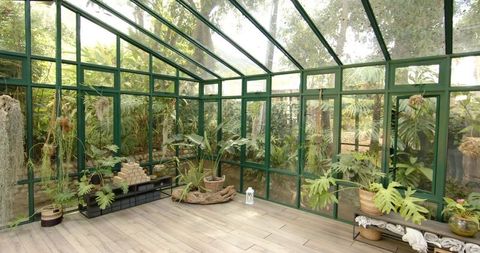 Serene Glass House with Lush Greenery for Relaxation and Wellness