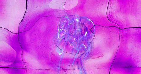 Glowing Lights and Waves on Pink Abstract Background