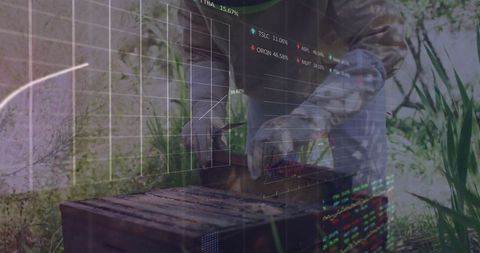 Senior Beekeeper Inspecting Hive with Stock Ticker Overlay