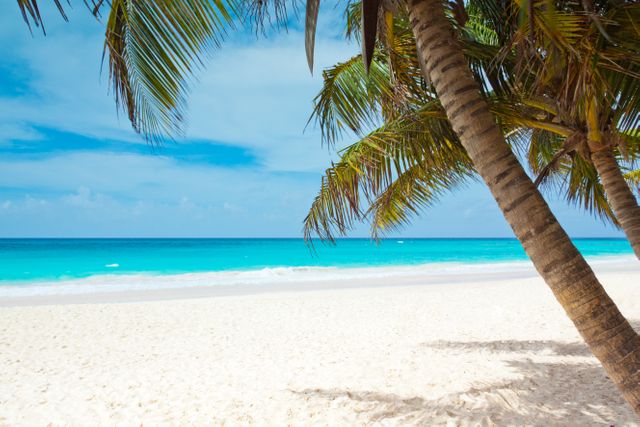 White sandy beach with turquoise blue waters and palm trees can be used for travel brochures, vacation advertisements, and articles about tropical paradises. Ideal for promoting relaxation, holidays, and natural beauty.