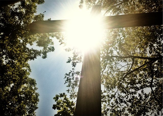This image can be used to represent concepts of faith, spirituality, hope, and connection with nature. It is perfect for religious materials, motivational content, and serene nature scenes. The brilliant light shining through the cross suits themes of enlightenment, divine presence, and inspiration.