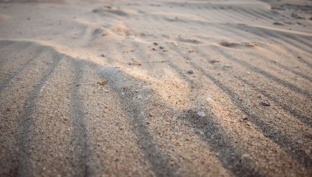 Golden sand ripples catching warm low sunlight with shell fragments and pebbles