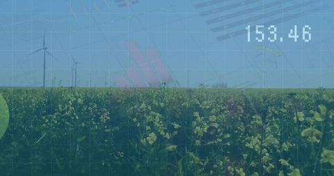 Sustainable Agriculture: Digital Analysis of Wind Farm in Yellow Field