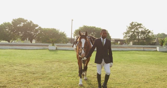 Equestrian Walking Horse Outdoors in Sunny Field - Download Free Stock Images Pikwizard.com