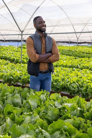 Smiling Farmer Standing amidst Lush Lettuce in Modern Greenhouse