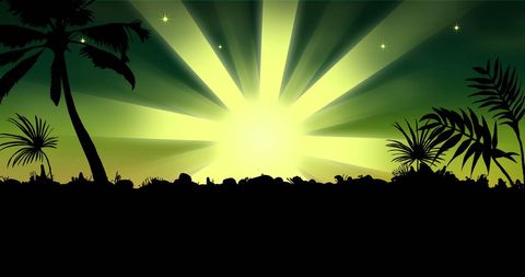 Tropical Night with Glowing Horizon and Palm Silhouettes - Download Free Stock Images Pikwizard.com