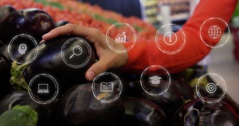 User choosing eggplants with digital overlay in grocery store