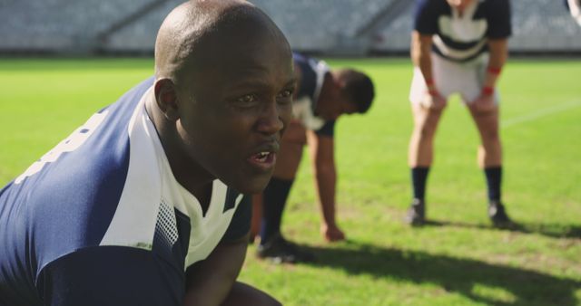 Tired Rugby Players Catching Their Breath on Field - Download Free Stock Images Pikwizard.com