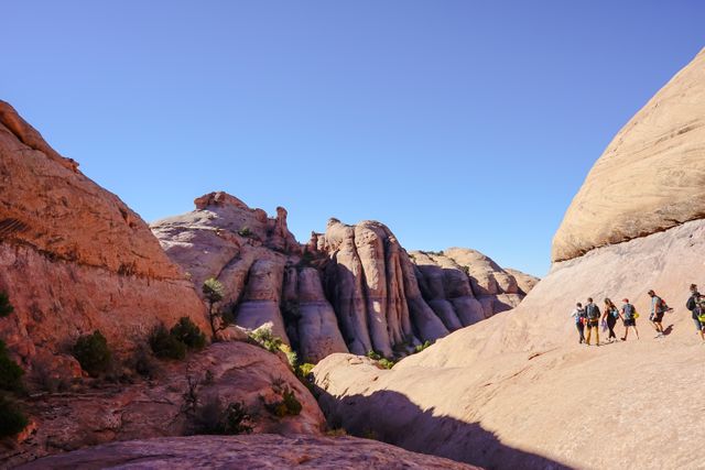 Group of people hiking through a picturesque desert canyon with rocky landscapes under a clear sky. Great for articles, blogs, or promotional content related to outdoor activities, adventure tours, nature exploration, and fitness.