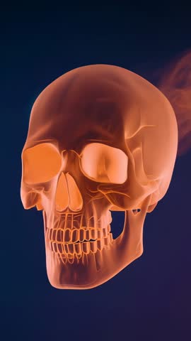 Rotating Glowing Orange 3D Skull Animation with Smoke for Horror Sci-Fi Vertical Video